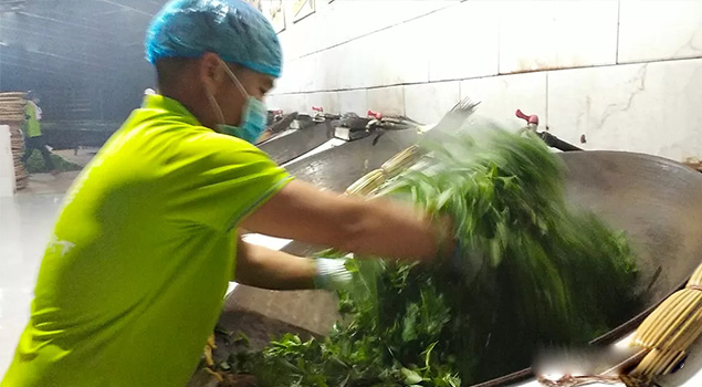 電氣化製茶成主流，蒸汽發生器讓製茶無煙化，實現零排放的環保目標